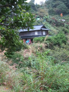 Nakamura's house above Kamikatsu